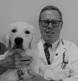 Meet Donald Dinges of Camelot Court Animal Clinic